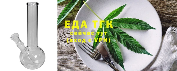 шишки Абаза