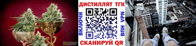 продажа наркотиков  Киселёвск  Дистиллят ТГК гашишное масло 