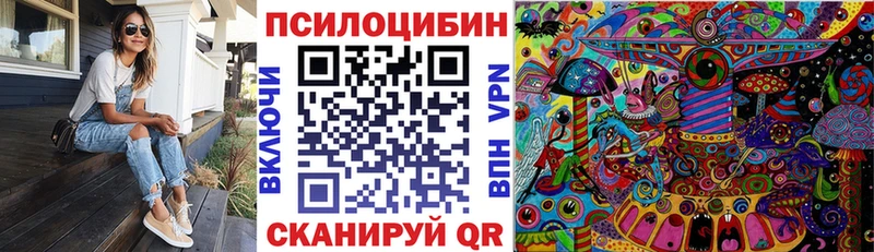 Галлюциногенные грибы Cubensis Киселёвск